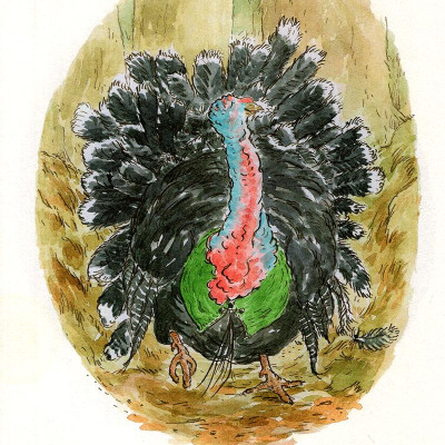 Thỏ Peter - Chuyện Bây Giờ Mới Kể: Cuộc Giải Cứu Ngày Giáng Sinh (Tái Bản 2021)