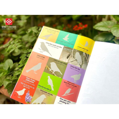 Sách - Dán Hình Nhận Biết Động Vật - Rèn Luyện Tư Duy Sáng Tạo Cho Bé Từ 3 - 9 Tuổi - Đinh Tị Books