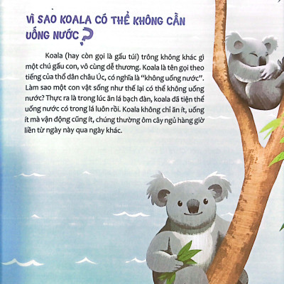 Hỏi Nhỏ Biết To - Động Vật (Tái Bản 2022)