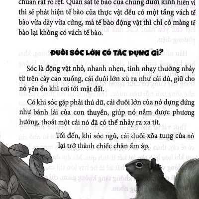 10 Vạn Câu Hỏi Vì Sao Mà Trẻ Hay Hỏi Nhất - Thế Giới Động Vật-Trái Đất-Địa Lý-Vũ Trụ (Tái Bản 2024)