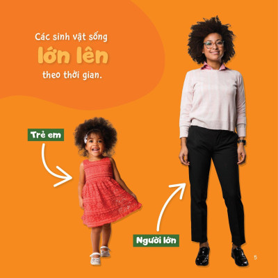 Sự Sinh Trưởng Kỳ Diệu Của Vạn Vật - Vòng Đời Của Gà