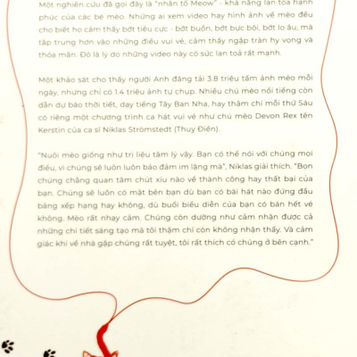 Chiếc Mèo Kỳ Diệu