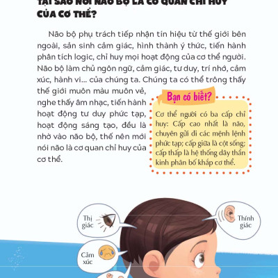 10 Vạn Câu Hỏi Vì Sao - Não Bộ - Vị Chỉ Huy Tài Ba _LL