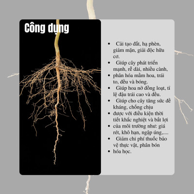 Phân bón hữu cơ Nano Organic One TN TECH ONE giúp kích rễ, đâm chồi, tăng ra hoa, đậu trái và tăng sức đề kháng cho cây