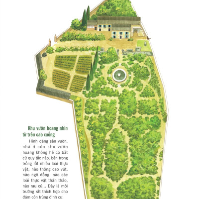 Sách - Truyện Tranh Khoa Học Về Các Loài Côn Trùng - Câu Chuyện Về Bà Villa Nghiêm Khắc - Ong Bắp Cày
