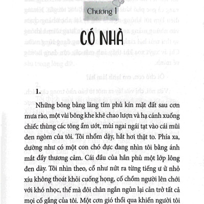 Hành Trình Trở Về Của Bầy Chó