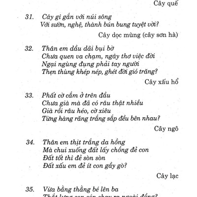 Câu Đố Tuổi Thơ