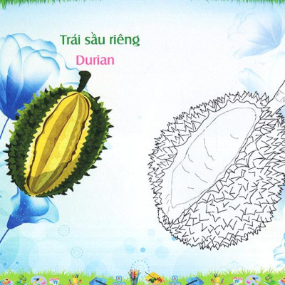 Bé Làm Quen Môi Trường - Trái Cây