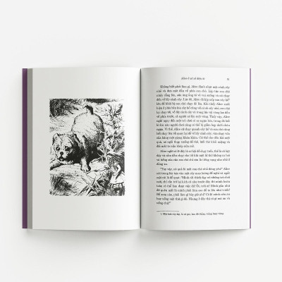 Sách - Alice Ở Xứ Sở Diệu Kì Và Alice ở Xứ Sở Trong Gương - Đông A