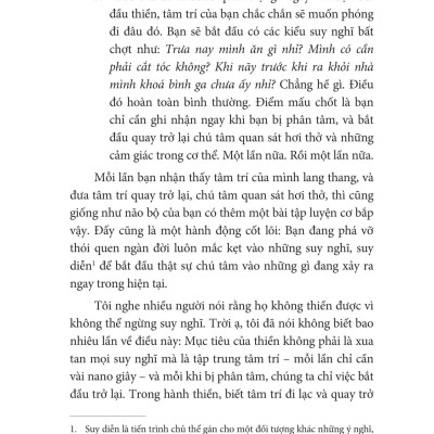 Thiền Cho Người Năng Động Và Hoài Nghi