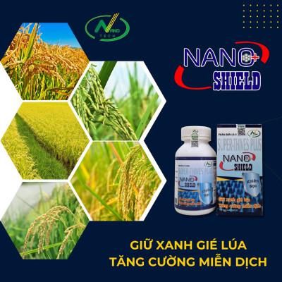 Bộ sản phẩm giúp LÚA ĐÓN ĐÒNG hiệu quả, tiết kiệm chi phí