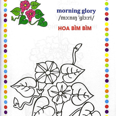 Bé Tập Tô Màu - Các Loài Hoa (Song Ngữ Anh - Việt)