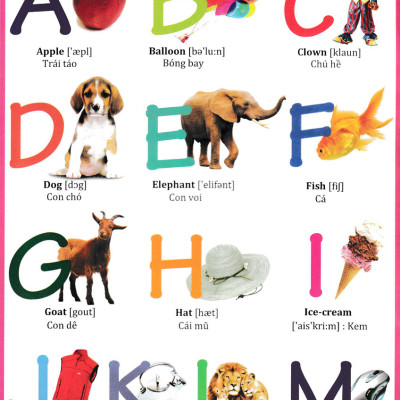 Từ Điển Anh Việt Bằng Hình Ảnh