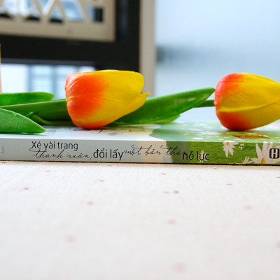 Bộ 4 Cuốn Sách Cẩm Nang Tuyệt Mật Của Phụ Nữ: Xé Vài Trang Thanh Xuân, Kế hoạch tự tin, Sống Kỷ Luật, Biết Kiềm Chế Và Sống An Nhiên Đời Bình Yên