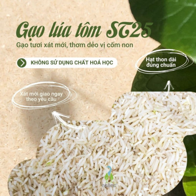 Gạo Ngỗng ST25 Sinh Thái Xát Dối 3kg