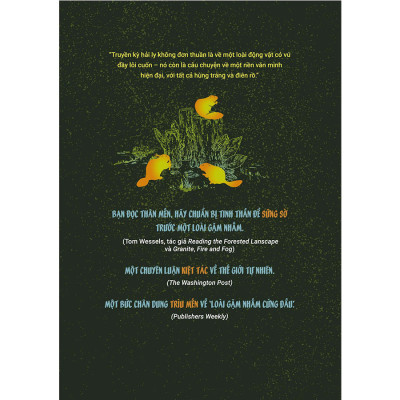 Đế Chế Hải Ly - Khúc Tráng Ca Về Những Kỹ Sư Kiến Tạo Đồng Lầy