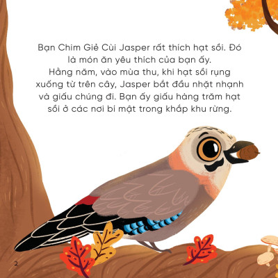 Bộ Sách Những Bài Học Nhỏ Từ Rừng Xanh (Bộ 4 Cuốn)