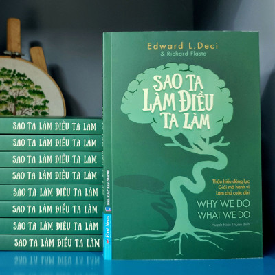 Sao Ta Làm Điều Ta Làm