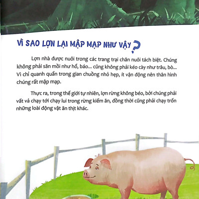 Hỏi Nhỏ Biết To - Động Vật (Tái Bản 2022)