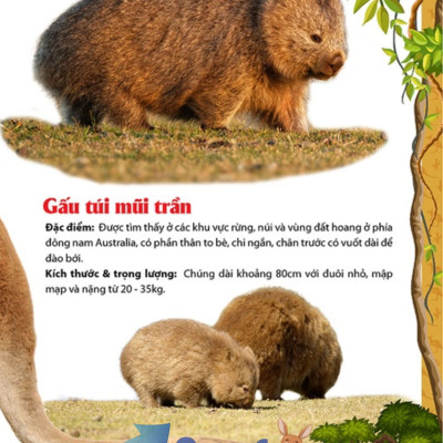Khám Phá Thế Giới Động Vật 5 Châu - Châu Đại Dương