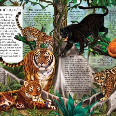 Tủ Sách Tri Thức Bách Khoa Bằng Hình - Thế Giới Động Vật