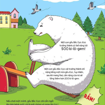 Thế Giới Động Vật - Gấu Bắc Cực Đến Nam Cực Thì Sao?