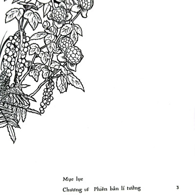 Miền An Lạc - Tập 4