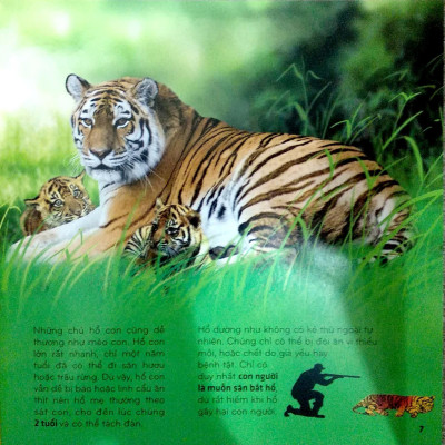 Bí Ẩn Thế Giới Loài Vật - Thú (Tái Bản 2024)