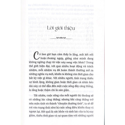 Thiền Như Một Phật Tử - Vanlangbooks