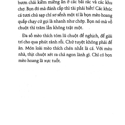 Có Hai Con Mèo Ngồi Bên Cửa Sổ (Đ)