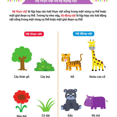 Sách - Cùng Em Rèn Luyện Khoa Học - Cơ Bản