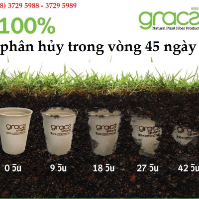 Combo 50 cái Hộp kèm nắp bã mía Thái Lan 350ml - thương hiệu Gracz