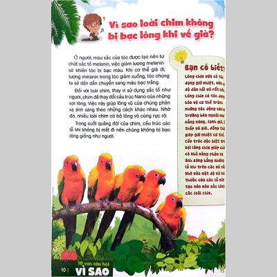 Bách Khoa Toàn Thư Dành Cho Trẻ Em - 10 Vạn Câu Hỏi Vì Sao (Tái Bản 2024)