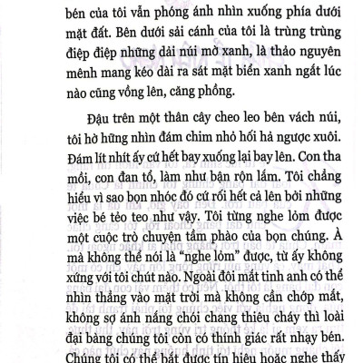 Đại Bàng Tái Sinh