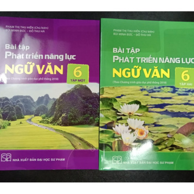Sách Bài tập phát triển năng lực ngữ văn 6 tập 1 (SGK cánh diều)