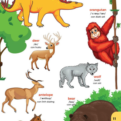 Bách khoa hình ảnh đầu tiên cho bé , song ngữ Anh - Việt , dành cho bé 0-6 tuổi( My First picture encyclopedia )bìa cứng