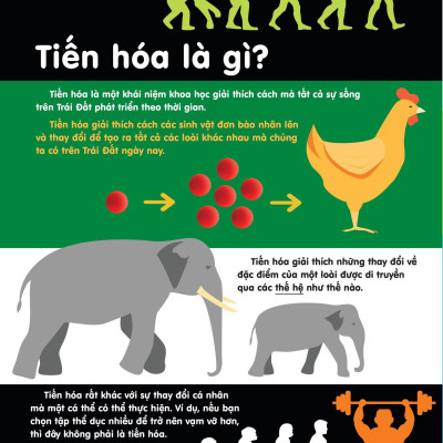 Infographics - Bách Khoa Tri Thức Bằng Đồ Họa Cho Trẻ Em - Tiến Hóa