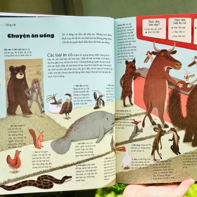 Bách Khoa Thư Thế Hệ Mới ( tặng kèm bookmark Tuyệt Đẹp )