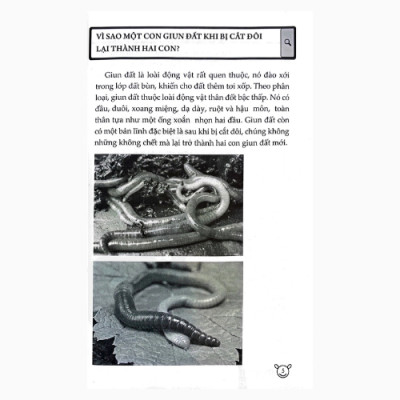 10 Vạn Câu Hỏi Vì Sao (Huy Hoàng)