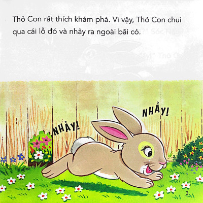 Những Câu Chuyện Tình Bạn - Thỏ Con Và Vịt Con