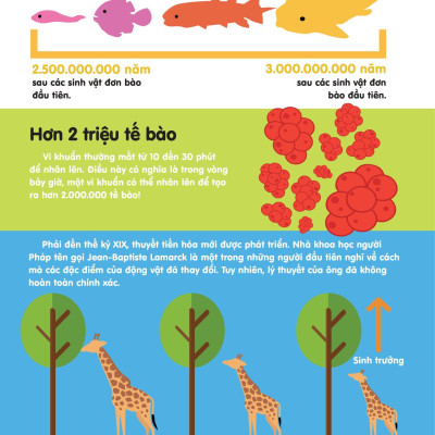 Infographics - Bách Khoa Tri Thức Bằng Đồ Họa Cho Trẻ Em - Tiến Hóa