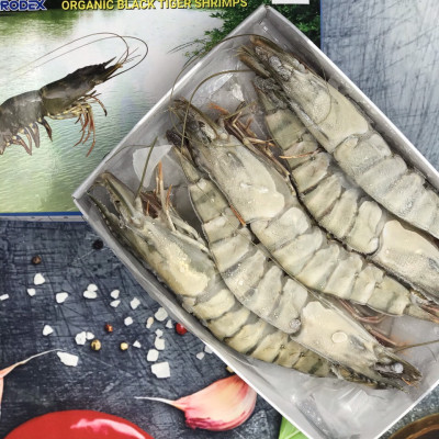 Tôm sú nguyên con sinh thái Seaprodex kích cỡ 5 con/hộp , 500gr