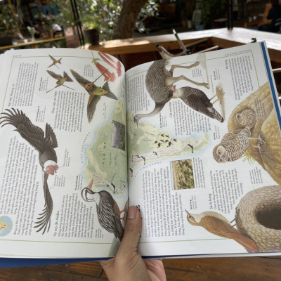 (Bìa cứng, in màu toàn bộ) A.TLAS CÁC LOÀI CHIM và A.TLAS ĐỘNG VẬT- Barbara Taylor – Lê Thu Hằng dịch - Đông A - NXB Dân Trí