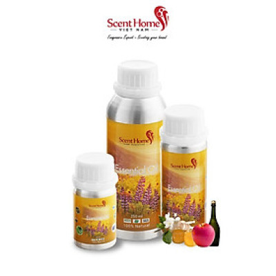 Tinh dầu Scent Homes - mùi hương (BBW Champagne Apple & Honey)