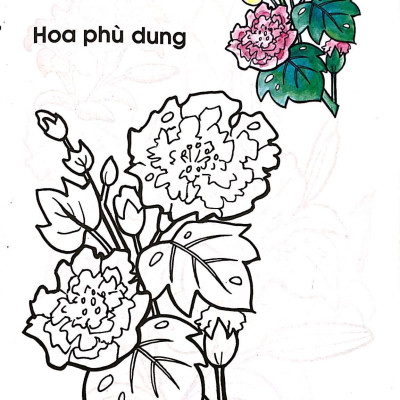 Tập Tô Màu Các Loại Hoa