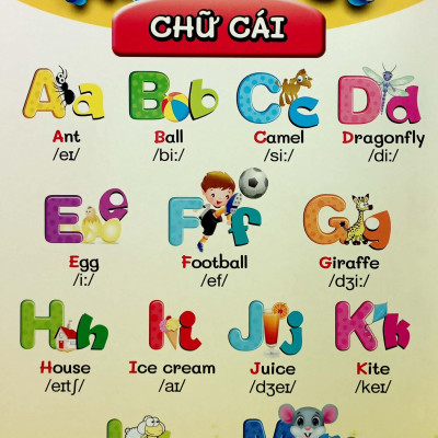 Từ Điển Bằng Hình Đầu Tiên Của Bé