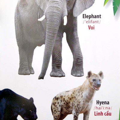 Thư Viện Hình Ảnh Song Ngữ Đầu Tiên Của Bé - Thế Giới Động Vật _VT