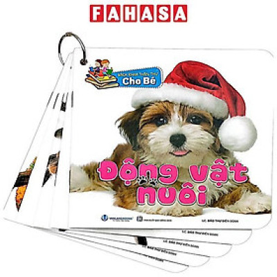 Sách - Bộ sách Bách Khoa Toàn Thư Cho Bé (Bộ 5 Cuốn)