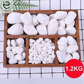 Sỏi trắng, đá trắng 1.2KG cao cấp, trang trí chậu cây, hồ cá, bể cá, tiểu cảnh, hòn non bộ thủy sinh, cây cảnh.
