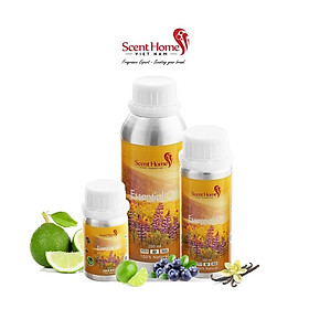 Tinh dầu Scent Homes - mùi hương (Mississippi)